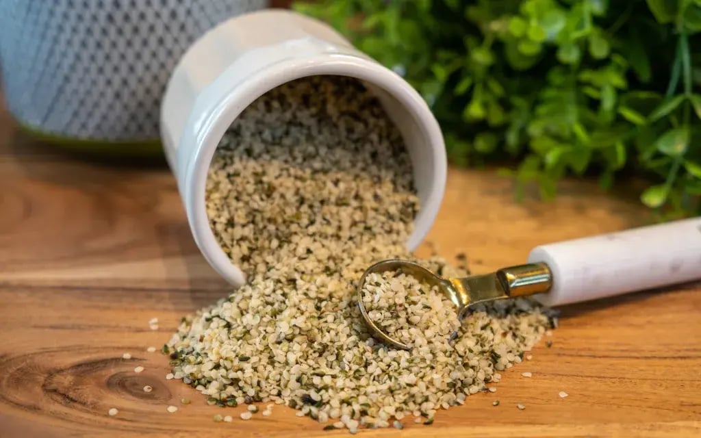 plant-based protein 