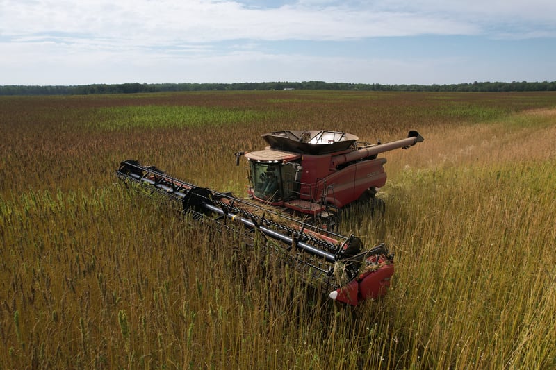 Minnesota sustainable farming