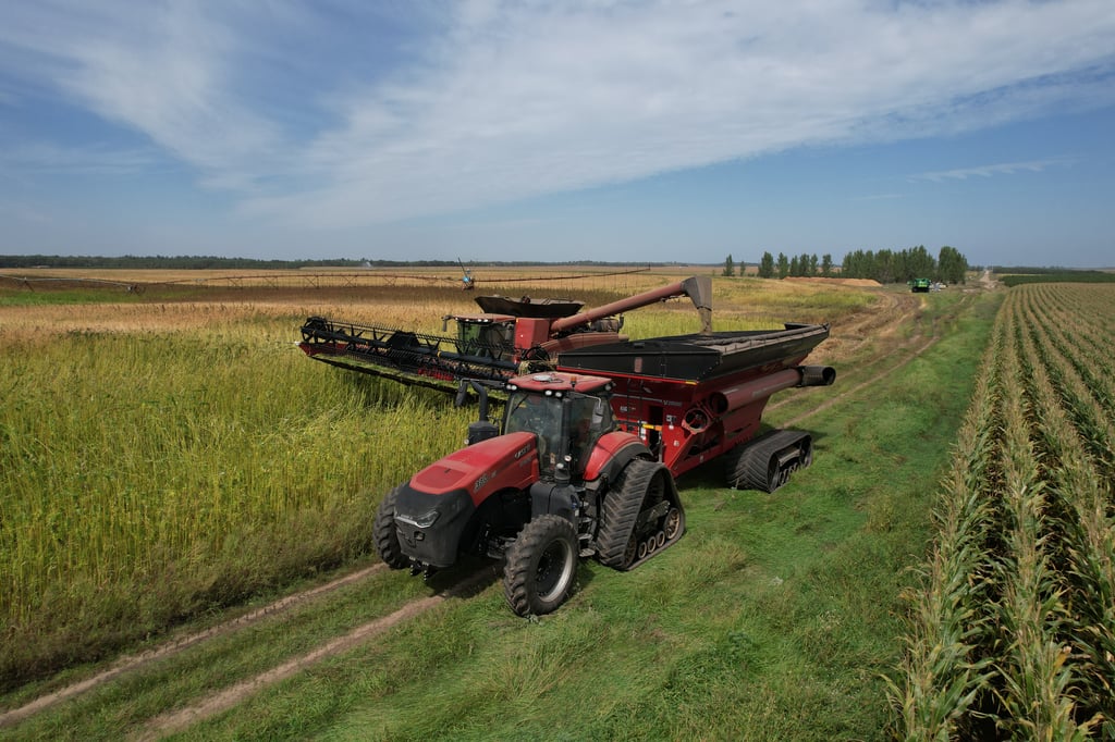 regeneratively grown industrial hemp